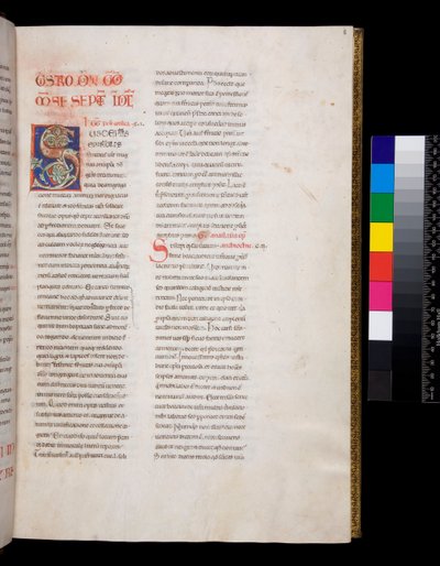 Ms 143. Gregor der Große, Registrum Epistolarum, f.8r. Verzierte Initiale [S] mit weißen Weinlaubfüllungen und Endstücken von Italian School