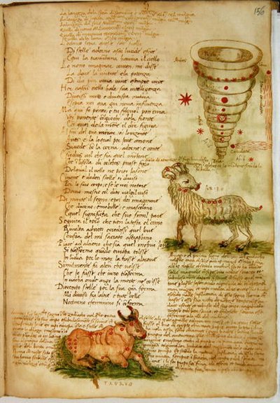 Widder und Stier, aus dem 