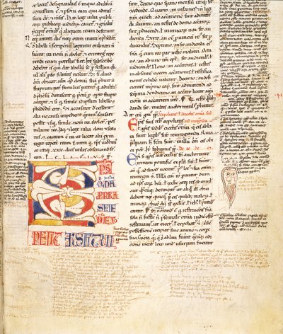 Detail einer pflanzenförmigen Initiale C aus Gratians Decretum von Italian School