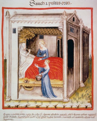 Nova 2644 fol.44v Gerstensuppe probieren, aus Tacuinum Sanitatis von Italian School