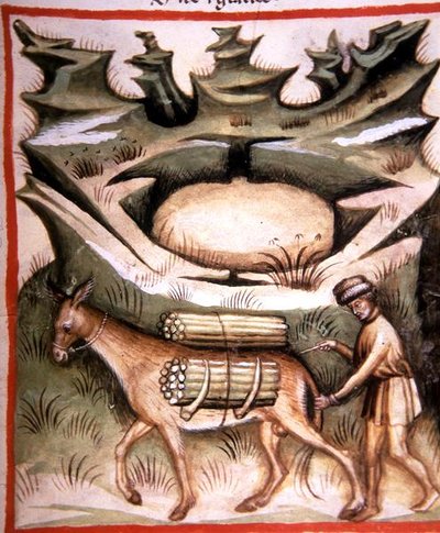 Nova 2644 fol.90r Schnee und Eis, aus 