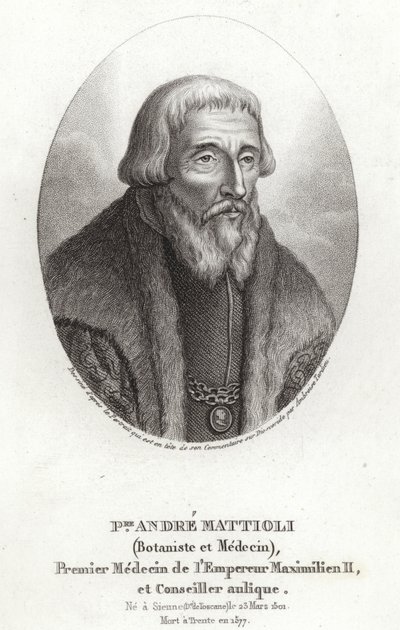 Pietro Andrea Mattioli von Italian School
