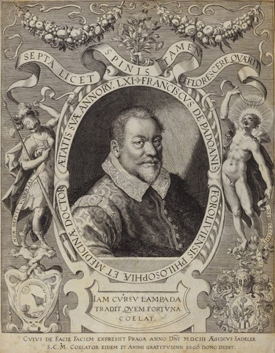 Porträt von Franciscus de Padoanis Foroliviensis von Italian School