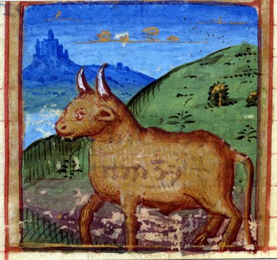Sternzeichen Stier. Italienisches Horoskop, Mitte des 15. Jahrhunderts. von Italian School