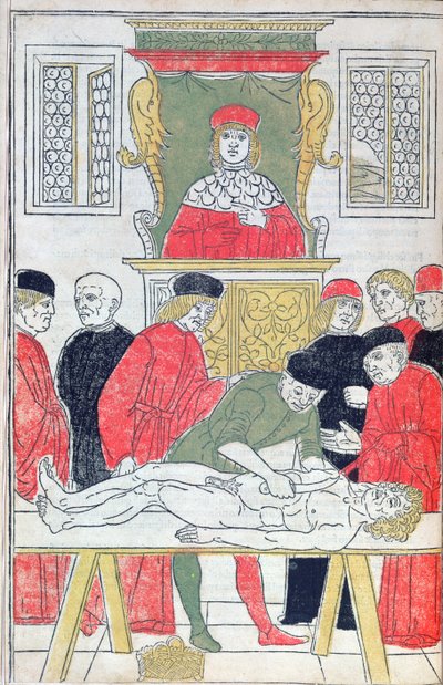 Die Sektion, Illustration aus 