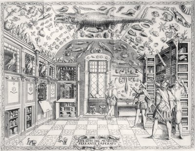 Das Naturkundemuseum von Kaiser Ferdinand III aus Historia Naturale von Ferrante Imperato, veröffentlicht 1672 von Italian School