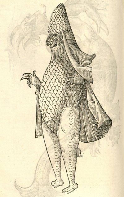 Illustration von Monstrum Marinum rudimenta habitus Episcopi referens aus Aldrovandis Geschichte der Monster, 1642 von Italian School