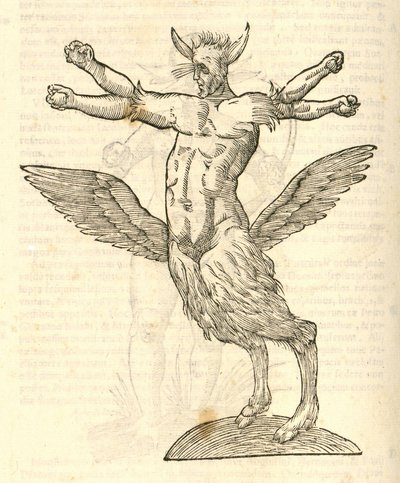 Illustration von Monstrum tetrachiron alatum capite humano aurito aus Aldrovandis Geschichte der Monster, 1642 von Italian School