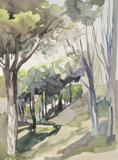 Nr. 55 Puerto de Hierro Club, Madrid, Spanien von Izabella Godlewska de Aranda