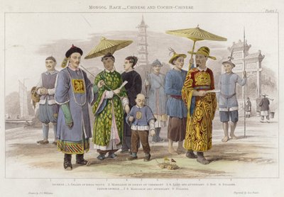 Mongolische Rasse, Chinesen und Cochin-Chinesen von J.L. (after) Williams