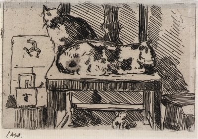 Manx-Katzen--Isle of Man von J. Alden Weir