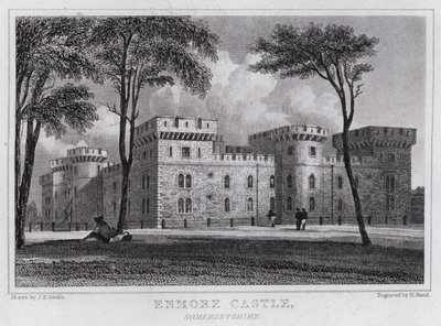 Enmore Castle, Somersetshire von John Preston Neale