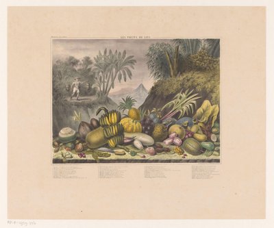 Javanische Früchte von J. Schnell