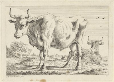Stehender und liegender Ochse von Jacob Elias van Varelen