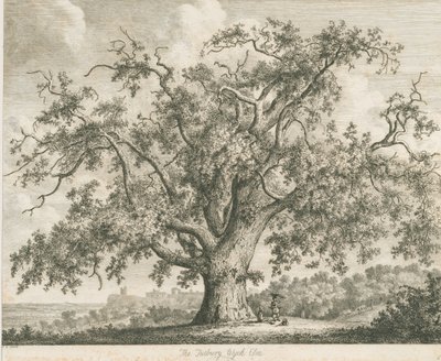 Tutbury - "Wych Ulme": Radierung, undatiert [ca. 1820] von Jacob George Strutt