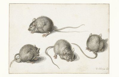 Vier Studien einer kranken Maus von Jacob II de Gheyn