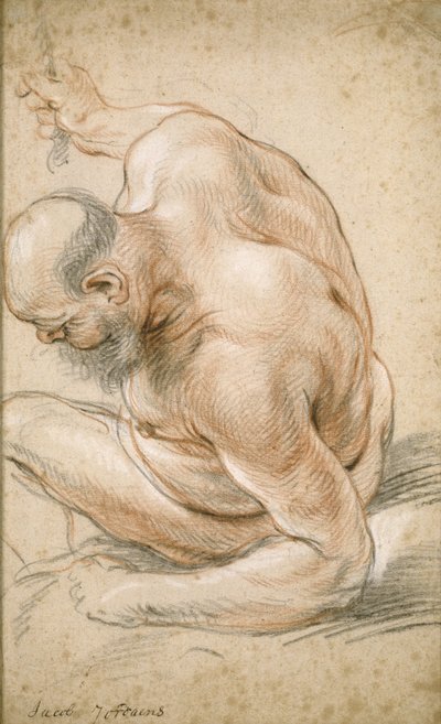 Alter nackter Mann sitzend, auf seinen Unterarm gestützt, nach links gewandt, ca. 1640 von Jacob Jordaens