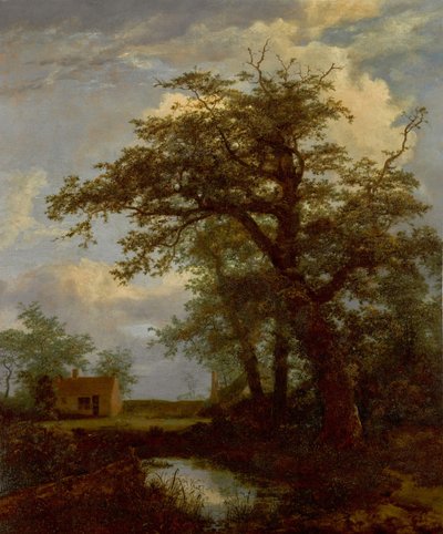 Eine bewaldete Landschaft mit einer Eiche, einem Teich und Häusern im Hintergrund von Jacob van Ruisdael