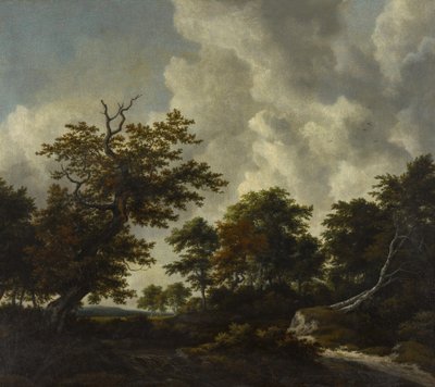 Waldlandschaft mit einer großen Eiche und zwei umgestürzten Buchen bei einem Wasserfall von Jacob van Ruisdael