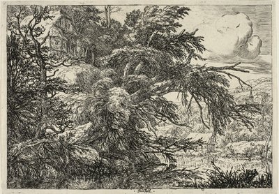 Hütte auf dem Hügel von Jacob van Ruisdael
