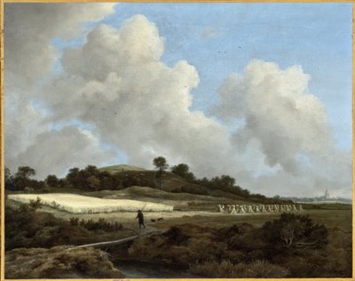 Blick auf Getreidefelder mit einer fernen Stadt von Jacob van Ruisdael