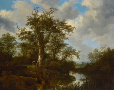 Bewaldete Landschaft mit Vieh, das einen Bach überquert von Jacob van Ruisdael