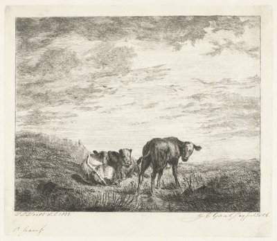 Drei Kälber von Jacobus Cornelis Gaal (signed by artist)