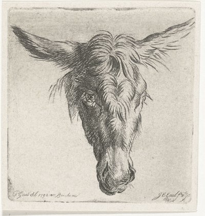 Kopf eines Esels von Jacobus Cornelis Gaal