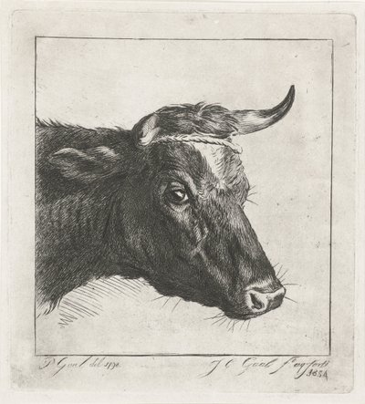 Kopf einer Kuh mit Seil um die Hörner von Jacobus Cornelis Gaal