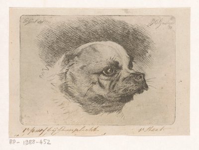 Kopf eines Mopses von Jacobus Cornelis Gaal