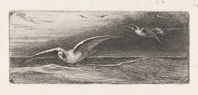 Möwen von Jacobus Hermanus Otterbeek