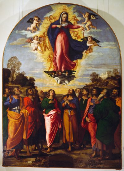 Mariä Himmelfahrt von Jacopo (c.1480 1528) Palma