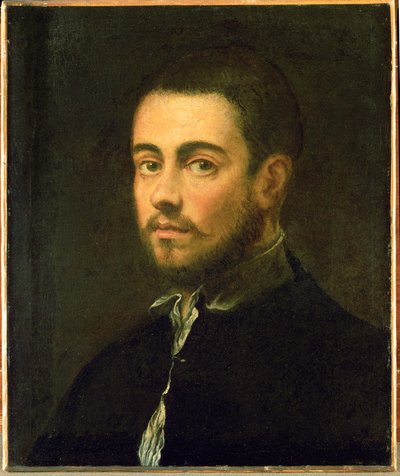 Junger Mann mit Bart von Jacopo Robusti Tintoretto