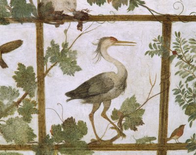 Ibis, aus einem Fresko einer Voliere in der Villa Medici, ca. 1576-77 von Jacopo Zucchi