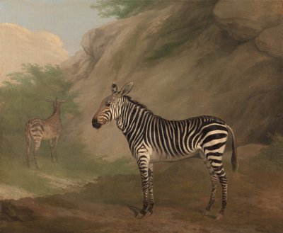 Zebra von Jacques-Laurent Agasse
