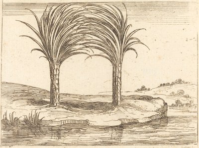 Zwei Palmen von Jacques Callot