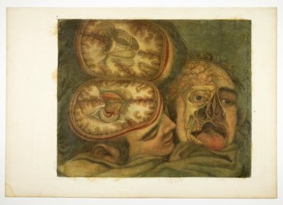 Schädelpräparation, Tafel fünf aus Anatomie des Kopfes, in Gedruckten Gemälden von Jacques Fabien Gautier d