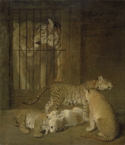Gruppe von Welpen, gezüchtet zwischen einem Löwen und einer Tigerin von Jacques Laurent Agasse