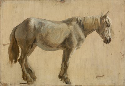 Studie eines grauen Pferdes von Jacques Laurent Agasse