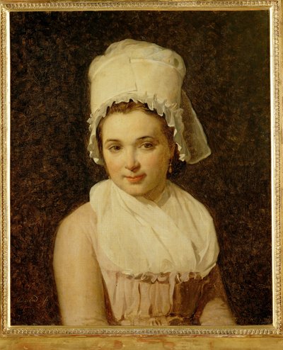 Catherine-Marie-Jeanne Tallard, Ehefrau von Francois Lamy, Bürgermeister von Sougere/Yonne von Jacques Louis David