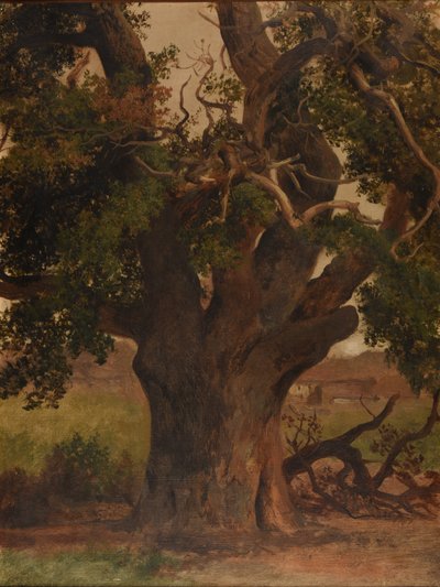 Die alte Eiche (Studie) von Jacques Raymond Brascassat
