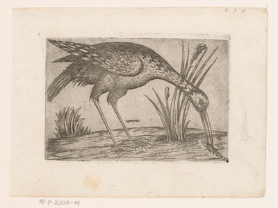 Vogel (Vogels) von Jacques de Fornazeris (possibly)