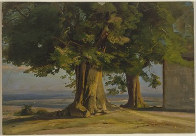 Alte Bäume und Ausblick auf weite Ebene von Jakob Becker