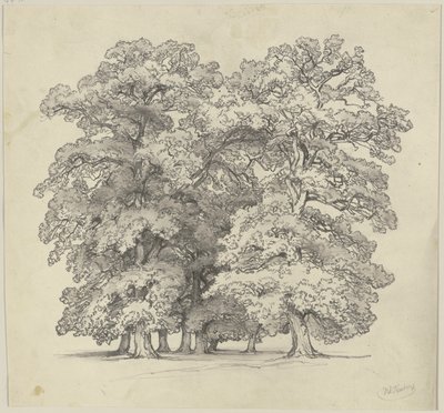  von Jakob Becker