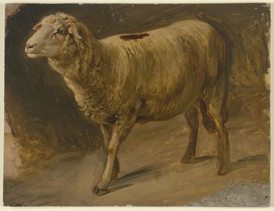Schafe von Jakob Becker
