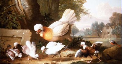 Geflügel und Tauben in einer Landschaft von Jakob Bogdani or Bogdany