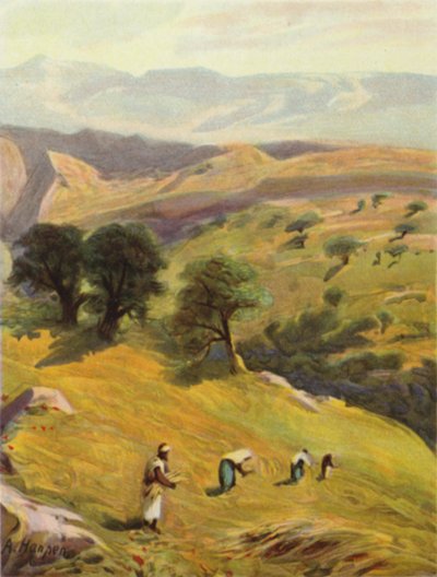 Zwischen Jerusalem und Jericho (Farblithografie) von James (after) Clark