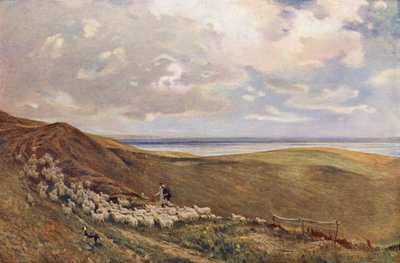 Auf den South Downs bei Brighton von James Aumonier