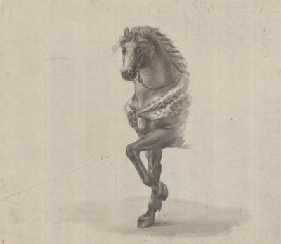 Studie der Vorderseite eines Pferdes von James Bruce