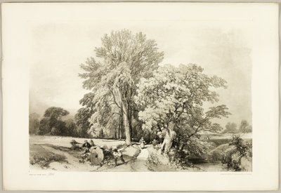 Esche und Eiche, aus Der Park und der Wald von James Duffield Harding